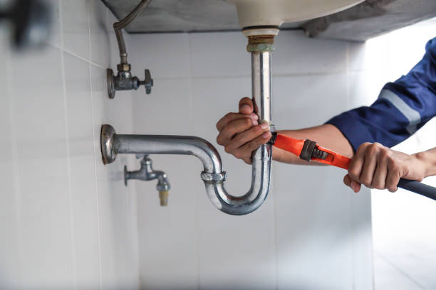 Best Clogged Drain Plumber  in Roslyn Estates, NY